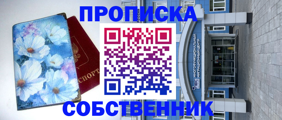 прописка 2025 в Светлогорске